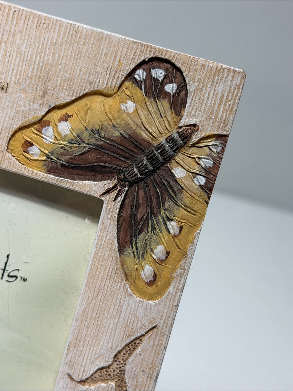 Special Moments Beige Frame with Butterfly & Dragonfly Accents - Picture 2 of 3
